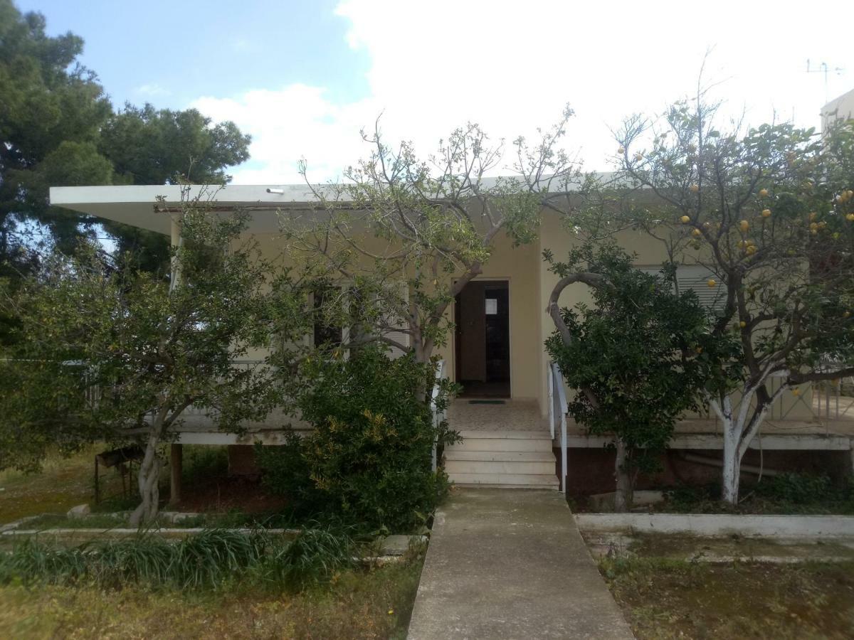 Vangelis House near Athens Airport Artemida  Eksteriør billede